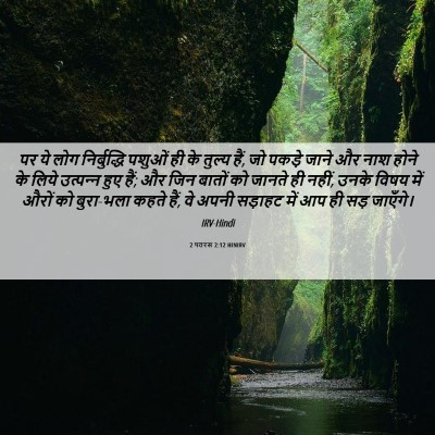 Picture 06 - 2 पतरस 2:12 HINIRV - पर ये लोग - Bible Verse Picture