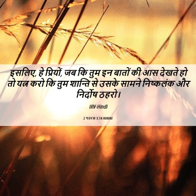 Picture 06 - 2 पतरस 3:14 HINIRV - इसलिए, हे प्रियों, - Bible Verse Picture