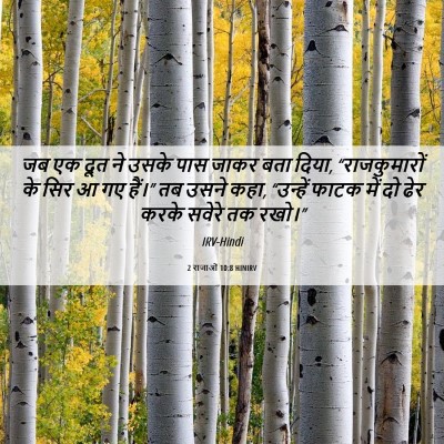 Picture 06 - 2 राजाओं 10:8 HINIRV - जब एक दूत ने उसके - Bible Verse Picture