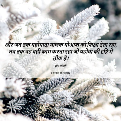 Picture 06 - 2 राजाओं 12:2 HINIRV - और जब तक यहोयादा - Bible Verse Picture