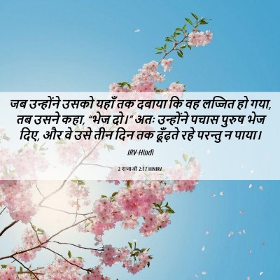 Picture 06 - 2 राजाओं 2:17 HINIRV - जब उन्होंने उसको - Bible Verse Picture