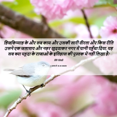 Picture 06 - 2 राजाओं 20:20 HINIRV - हिजकिय्याह के और - Bible Verse Picture