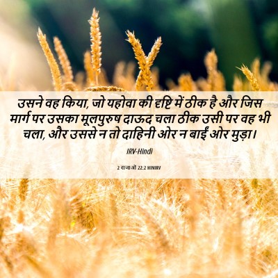 Picture 06 - 2 राजाओं 22:2 HINIRV - उसने वह किया, जो - Bible Verse Picture