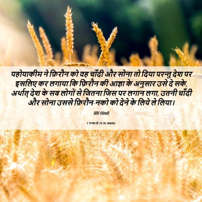Picture 06 - 2 राजाओं 23:35 HINIRV - यहोयाकीम ने - Bible Verse Picture