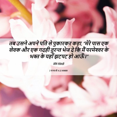 Picture 06 - 2 राजाओं 4:22 HINIRV - तब उसने अपने पति से - Bible Verse Picture