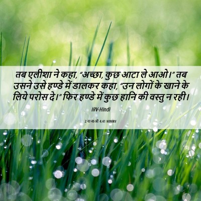 Picture 06 - 2 राजाओं 4:41 HINIRV - तब एलीशा ने कहा, - Bible Verse Picture