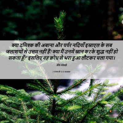 Picture 06 - 2 राजाओं 5:12 HINIRV - क्या दमिश्क की - Bible Verse Picture