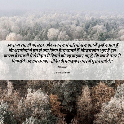 Picture 06 - 2 राजाओं 7:12 HINIRV - तब राजा रात ही को - Bible Verse Picture