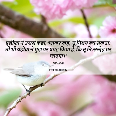 Picture 06 - 2 राजाओं 8:10 HINIRV - एलीशा ने उससे कहा, - Bible Verse Picture