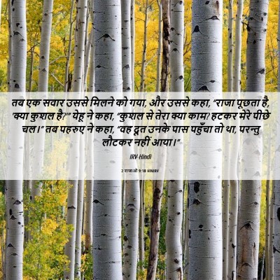Picture 06 - 2 राजाओं 9:18 HINIRV - तब एक सवार उससे - Bible Verse Picture