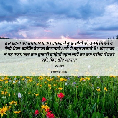 Picture 06 - 2 शमूएल 10:5 HINIRV - इस घटना का समाचार - Bible Verse Picture