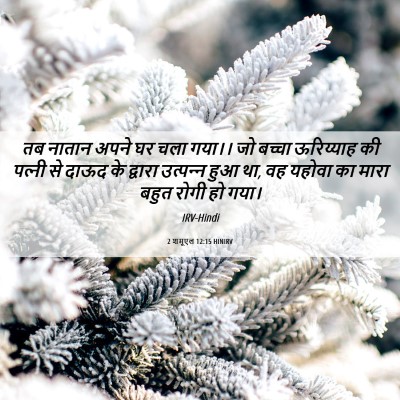 Picture 06 - 2 शमूएल 12:15 HINIRV - तब नातान अपने घर - Bible Verse Picture