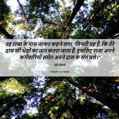 Picture 06 - 2 शमूएल 13:24 HINIRV - वह राजा के पास जाकर - Bible Verse Picture