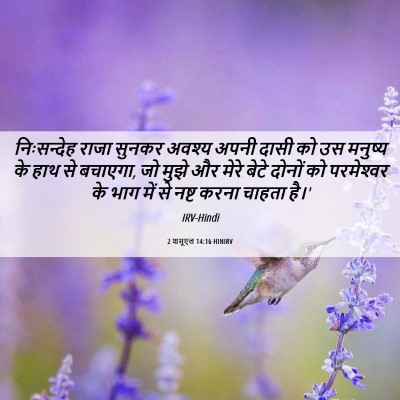 Picture 06 - 2 शमूएल 14:16 HINIRV - निःसन्देह राजा - Bible Verse Picture