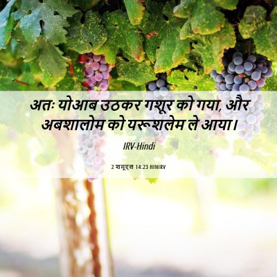 Picture 06 - 2 शमूएल 14:23 HINIRV - अतः योआब उठकर गशूर - Bible Verse Picture