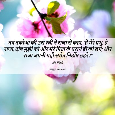 Picture 06 - 2 शमूएल 14:9 HINIRV - तब तकोआ की उस - Bible Verse Picture