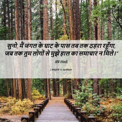 Picture 06 - 2 शमूएल 15:28 HINIRV - सुनो, मैं जंगल के - Bible Verse Picture