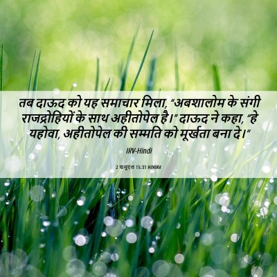 Picture 06 - 2 शमूएल 15:31 HINIRV - तब दाऊद को यह - Bible Verse Picture