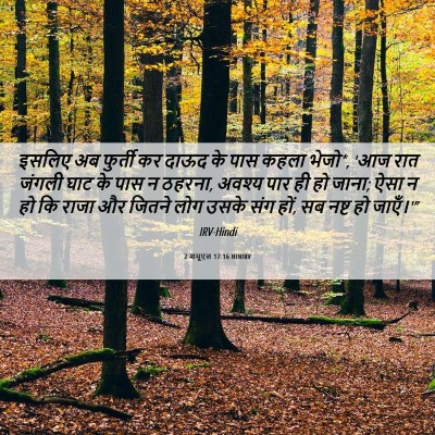 Picture 06 - 2 शमूएल 17:16 HINIRV - इसलिए अब फुर्ती कर - Bible Verse Picture