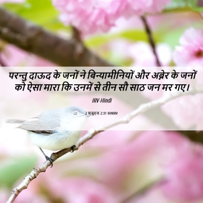 Picture 06 - 2 शमूएल 2:31 HINIRV - परन्तु दाऊद के - Bible Verse Picture