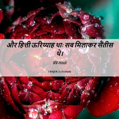 Picture 06 - 2 शमूएल 23:39 HINIRV - और हित्ती - Bible Verse Picture