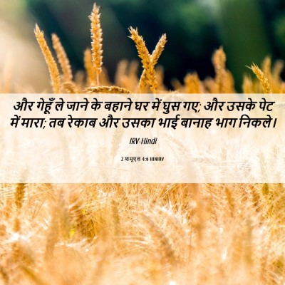 Picture 06 - 2 शमूएल 4:6 HINIRV - और गेहूँ ले जाने के - Bible Verse Picture