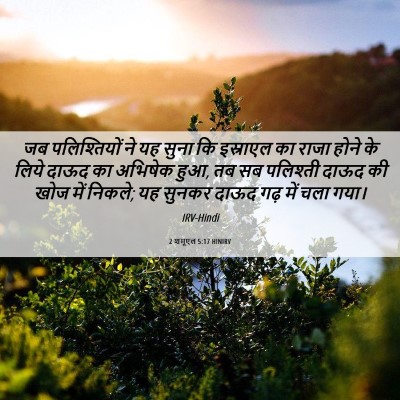 Picture 06 - 2 शमूएल 5:17 HINIRV - जब पलिश्तियों ने - Bible Verse Picture
