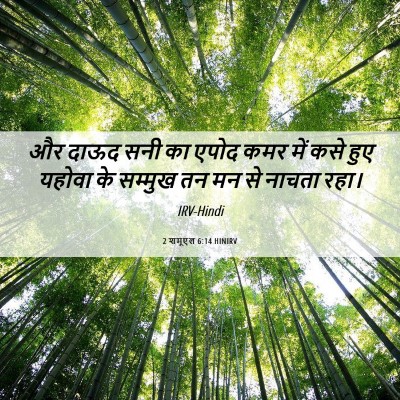 Picture 06 - 2 शमूएल 6:14 HINIRV - और दाऊद सनी का एपोद - Bible Verse Picture