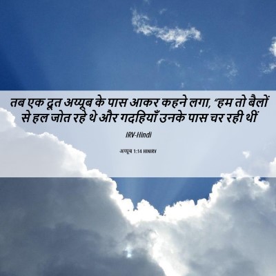 Picture 06 - अय्यूब 1:14 HINIRV - तब एक दूत अय्यूब के - Bible Verse Picture