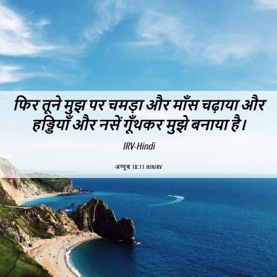 Picture 06 - अय्यूब 10:11 HINIRV - फिर तूने मुझ पर - Bible Verse Picture