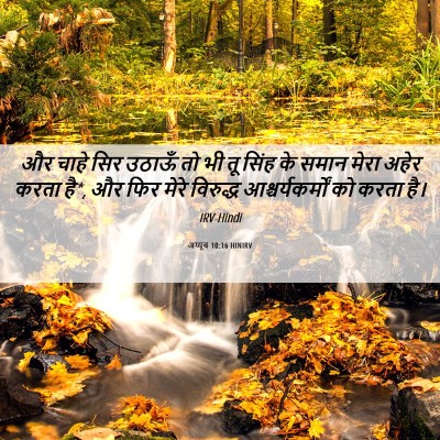 Picture 06 - अय्यूब 10:16 HINIRV - और चाहे सिर उठाऊँ - Bible Verse Picture