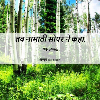 Picture 06 - अय्यूब 11:1 HINIRV - तब नामाती सोपर ने - Bible Verse Picture