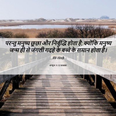 Picture 06 - अय्यूब 11:12 HINIRV - परन्तु मनुष्य - Bible Verse Picture