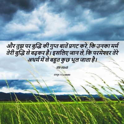 Picture 06 - अय्यूब 11:6 HINIRV - और तुझ पर बुद्धि की - Bible Verse Picture