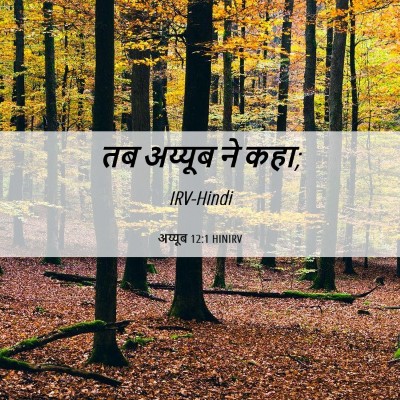Picture 06 - अय्यूब 12:1 HINIRV - तब अय्यूब ने - Bible Verse Picture