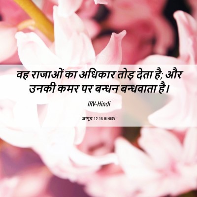 Picture 06 - अय्यूब 12:18 HINIRV - वह राजाओं का - Bible Verse Picture