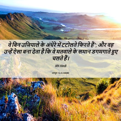 Picture 06 - अय्यूब 12:25 HINIRV - वे बिन उजियाले के - Bible Verse Picture