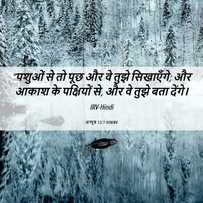 Picture 06 - अय्यूब 12:7 HINIRV - “पशुओं से तो पूछ और - Bible Verse Picture