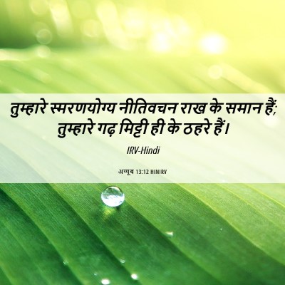 Picture 06 - अय्यूब 13:12 HINIRV - तुम्हारे - Bible Verse Picture