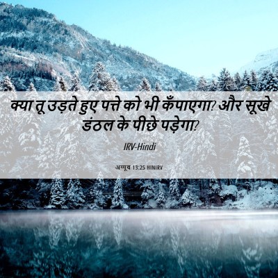 Picture 06 - अय्यूब 13:25 HINIRV - क्या तू उड़ते हुए - Bible Verse Picture