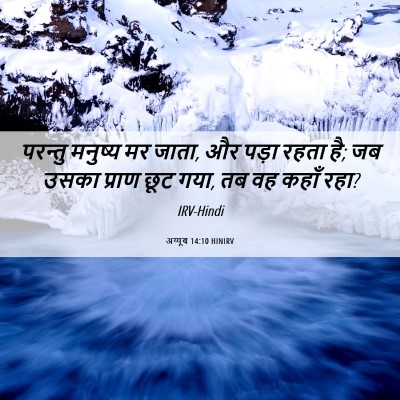 Picture 06 - अय्यूब 14:10 HINIRV - परन्तु मनुष्य मर - Bible Verse Picture
