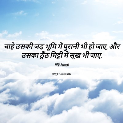 Picture 06 - अय्यूब 14:8 HINIRV - चाहे उसकी जड़ भूमि - Bible Verse Picture