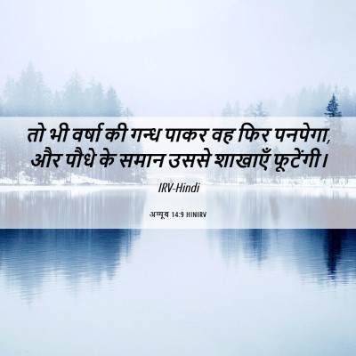 Picture 06 - अय्यूब 14:9 HINIRV - तो भी वर्षा की गन्ध - Bible Verse Picture