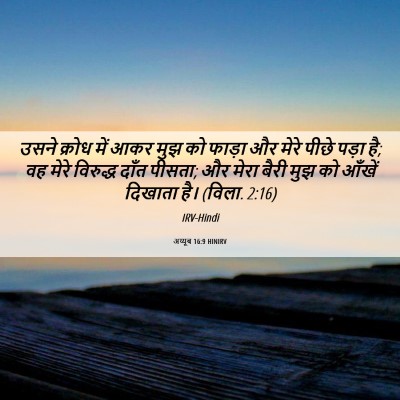 Picture 06 - अय्यूब 16:9 HINIRV - उसने क्रोध में आकर - Bible Verse Picture