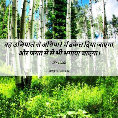 Picture 06 - अय्यूब 18:18 HINIRV - वह उजियाले से - Bible Verse Picture