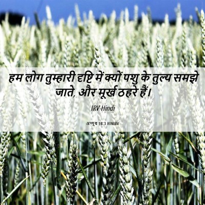 Picture 06 - अय्यूब 18:3 HINIRV - हम लोग तुम्हारी - Bible Verse Picture
