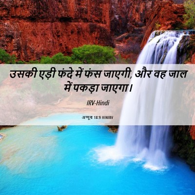 Picture 06 - अय्यूब 18:9 HINIRV - उसकी एड़ी फंदे में - Bible Verse Picture
