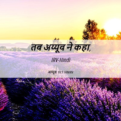 Picture 06 - अय्यूब 19:1 HINIRV - तब अय्यूब ने - Bible Verse Picture
