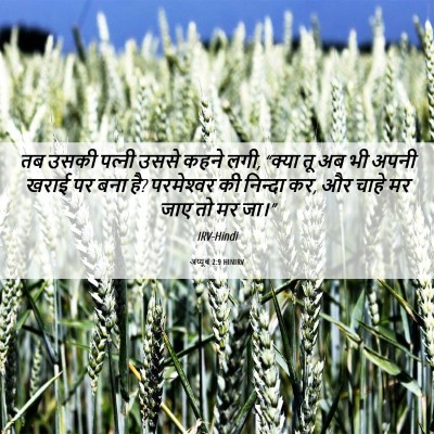 Picture 06 - अय्यूब 2:9 HINIRV - तब उसकी पत्‍नी - Bible Verse Picture
