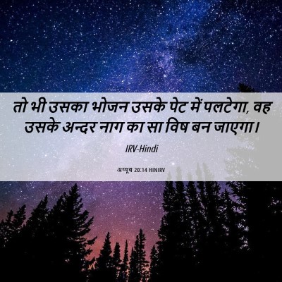 Picture 06 - अय्यूब 20:14 HINIRV - तो भी उसका भोजन - Bible Verse Picture